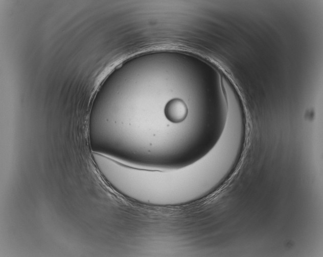 X0000115411097200911171353