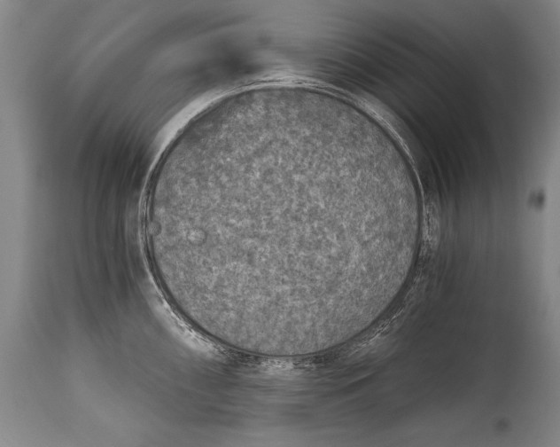 X0000115411098200911171353