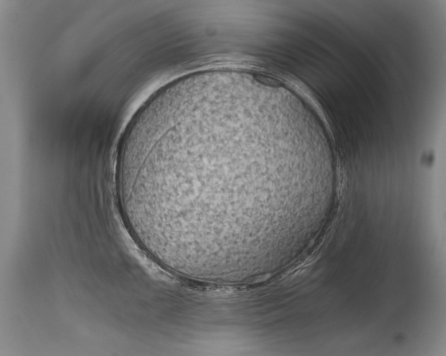 X0000115411099200911171353