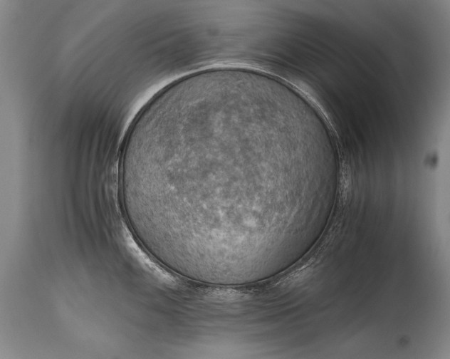X0000115411100200911171353