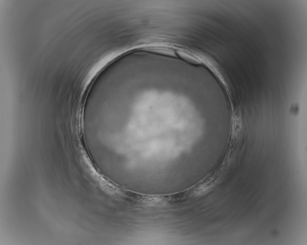 X0000115411101200911171353