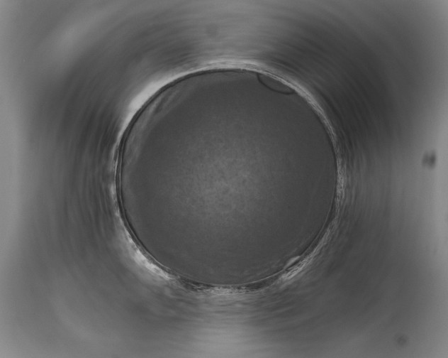 X0000115411102200911171353