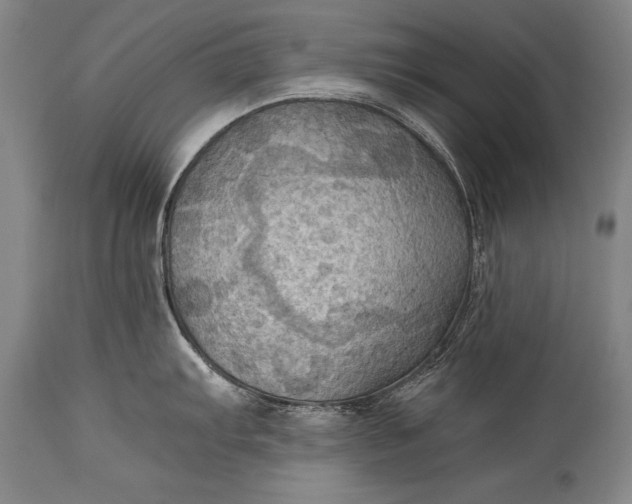 X0000115411103200911171353
