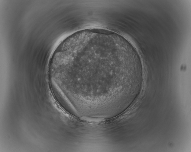 X0000115411104200911171353