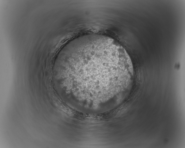 X0000115411105200911171352