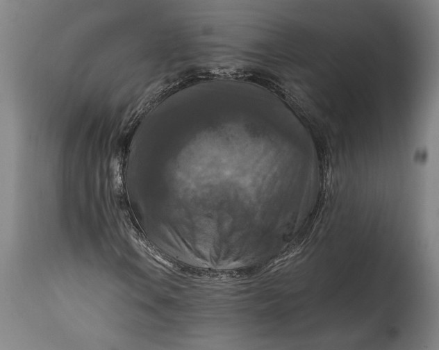 X0000115411106200911171352