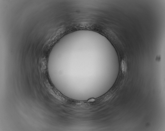X0000115411107200911171352