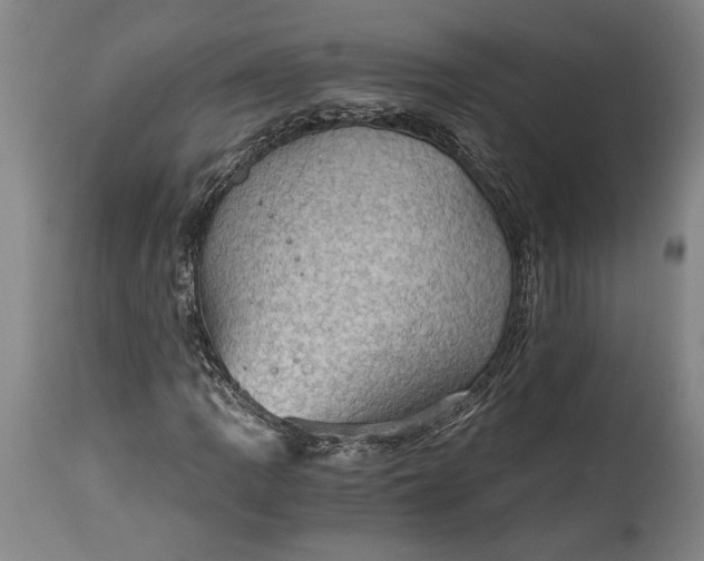 X0000115411109200911171352