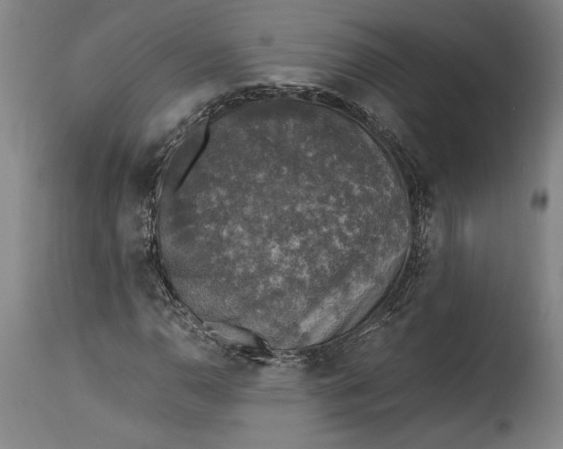 X0000115411110200911171352