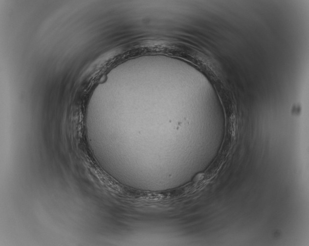X0000115411111200911171352
