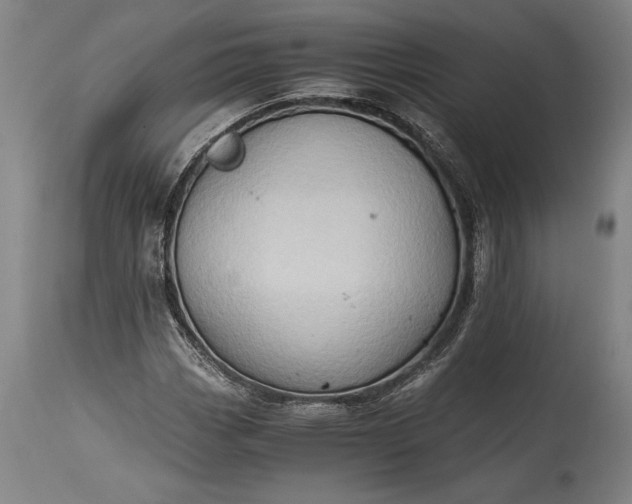 X0000115411113200911171352