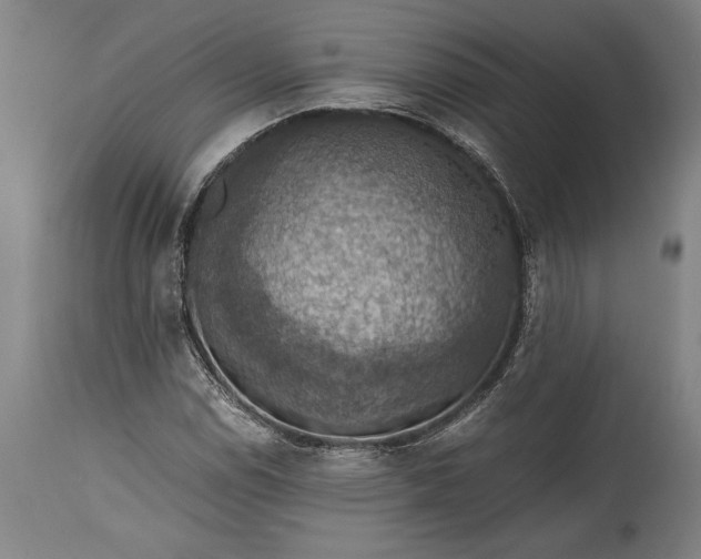 X0000115411114200911171352