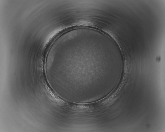 X0000115411115200911171352