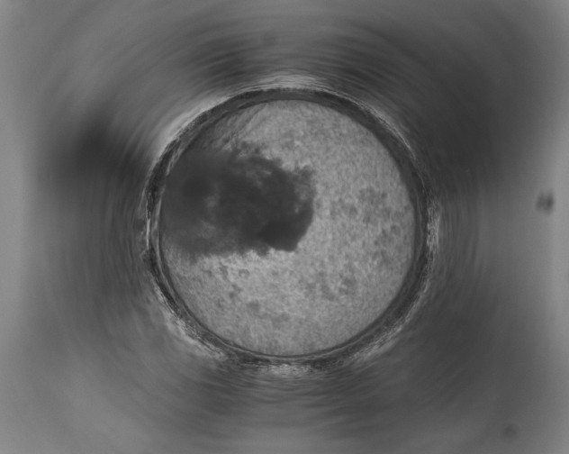 X0000115411117200911171352