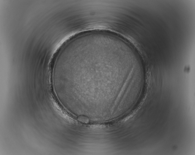 X0000115411118200911171352