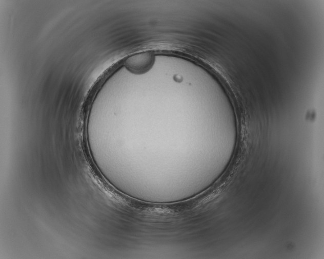 X0000115411119200911171352