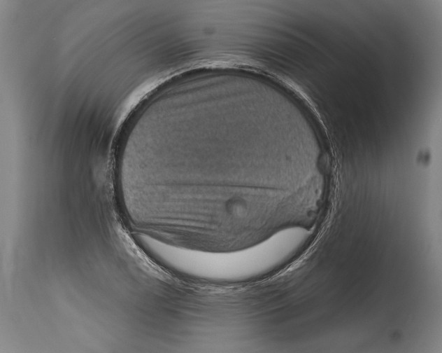 X0000115411122200911171352