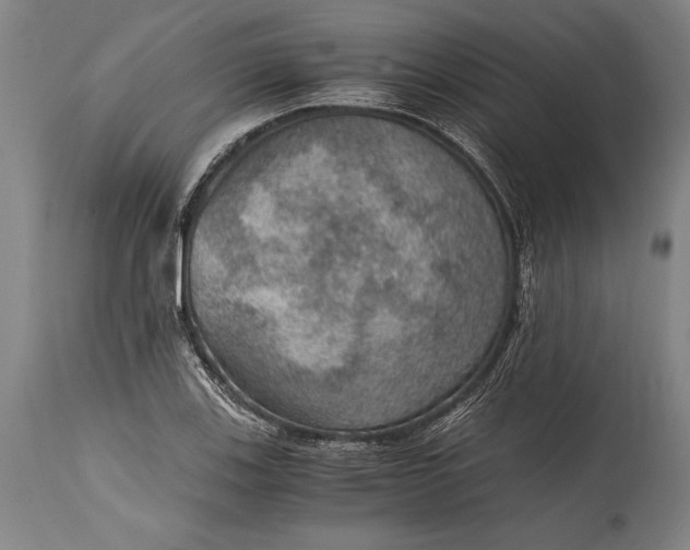 X0000115411123200911171352
