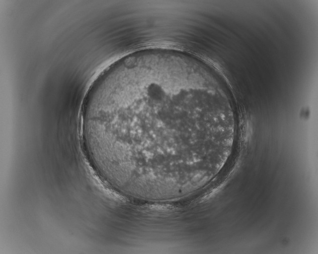 X0000115411125200911171352