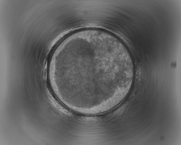 X0000115411126200911171352