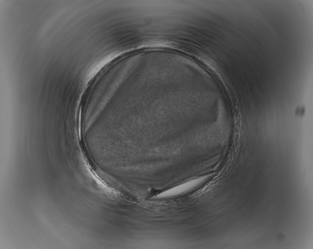 X0000115411127200911171352