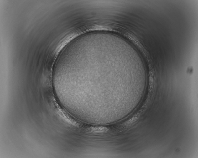 X0000115411129200911171353
