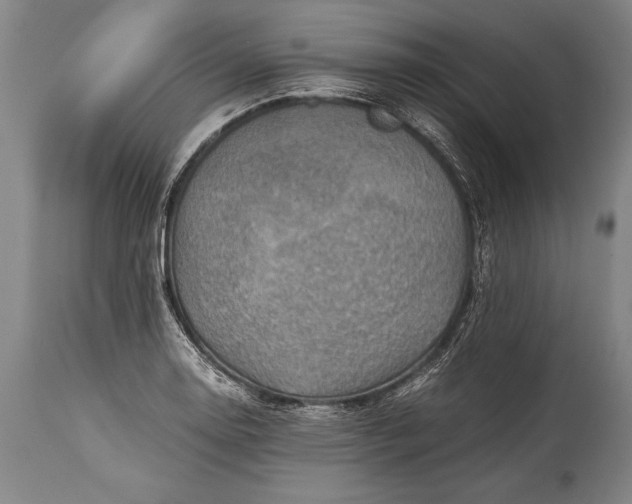 X0000115411130200911171353