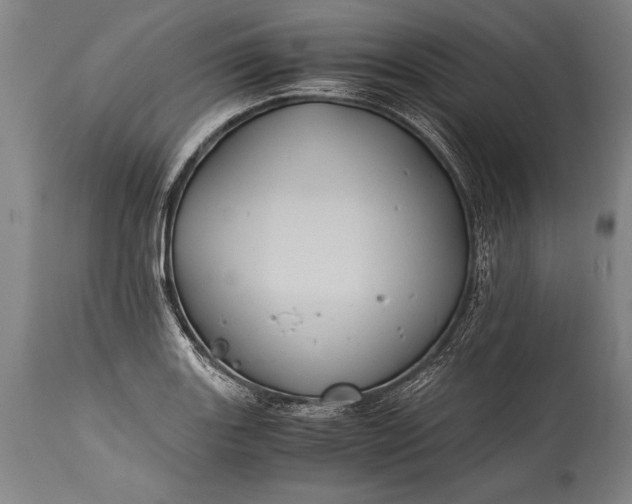 X0000115411131200911171353