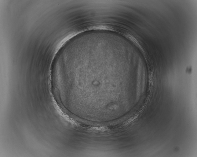 X0000115411133200911171353