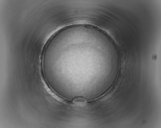X0000115411134200911171353