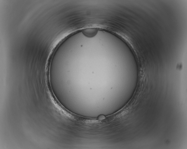 X0000115411135200911171353