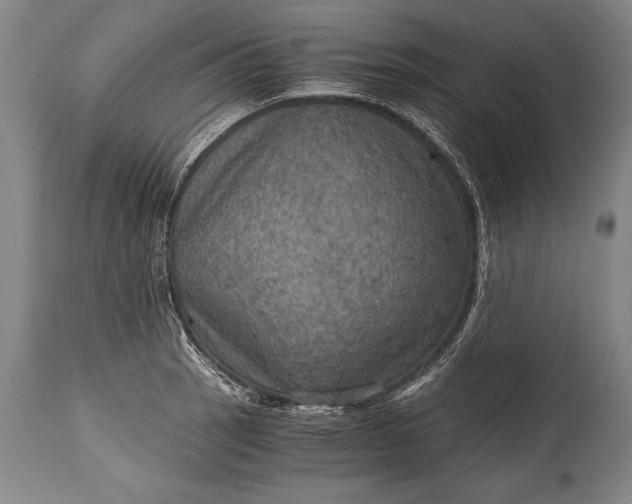 X0000115411137200911171353