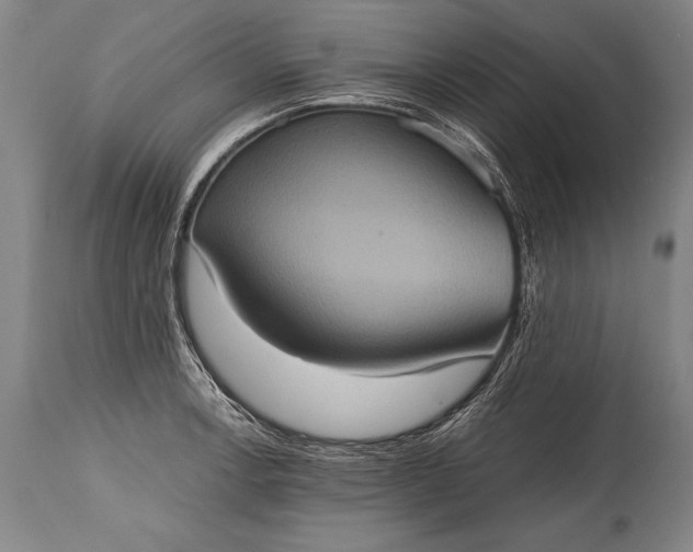 X0000115411138200911171353