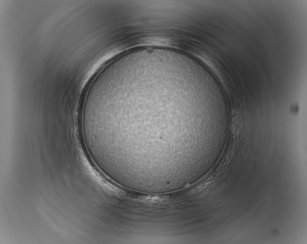 X0000115411139200911171353