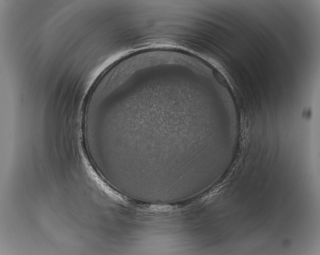 X0000115411142200911171353