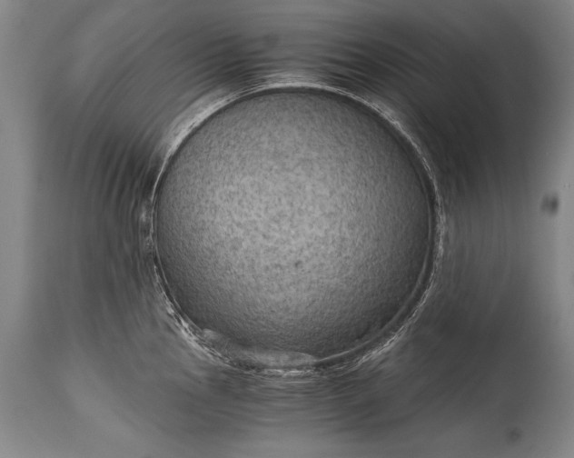 X0000115411145200911171353