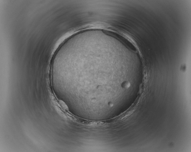 X0000115411146200911171353