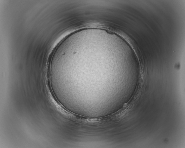 X0000115411147200911171353