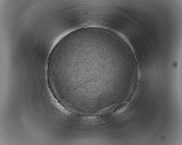X0000115411149200911171353