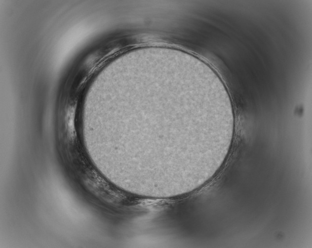 X0000115411150200911171353