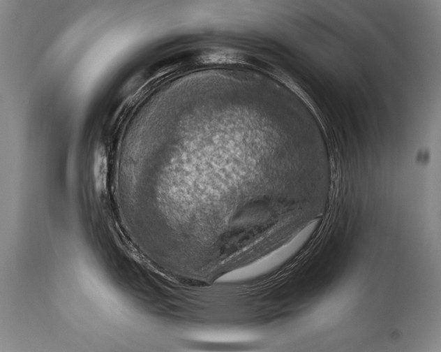 X0000115411151200911171353