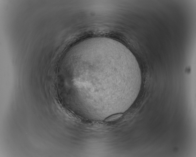 X0000115411153200911171352