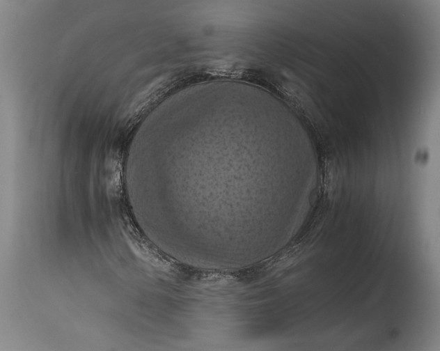 X0000115411154200911171352