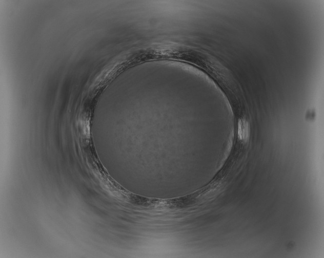 X0000115411155200911171352