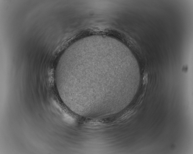 X0000115411156200911171352