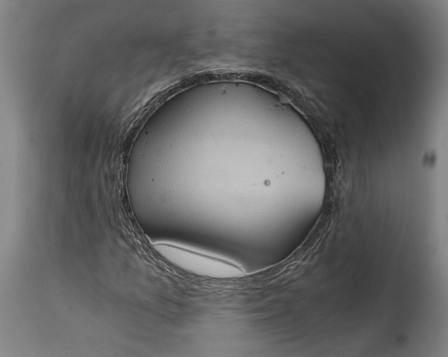 X0000115411157200911171352