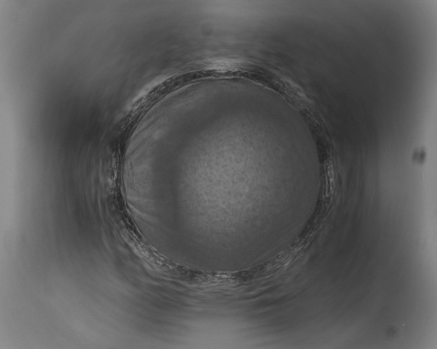 X0000115411158200911171352
