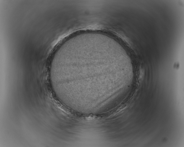 X0000115411160200911171352