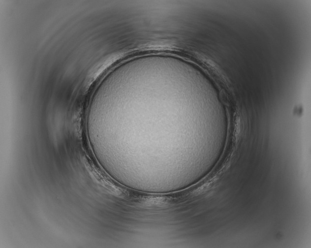 X0000115411162200911171352