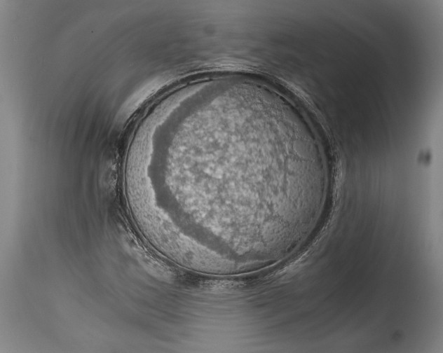 X0000115411163200911171352